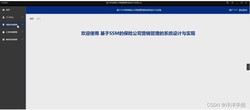 朝陽保險公司營銷管理系統（SSM框架）設計與實現——新手入門指南