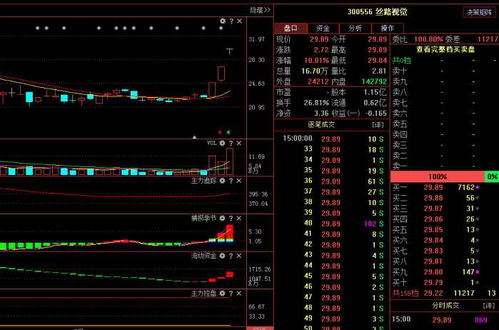 絲路視覺（300556） 主力悄然布局，計算機軟硬件業務驅動下未來走勢深度解析
