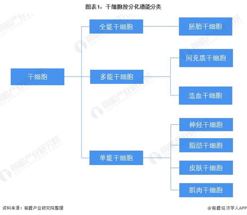 預(yù)見(jiàn)2022 中國(guó)干細(xì)胞醫(yī)療產(chǎn)業(yè)全景圖譜——產(chǎn)業(yè)鏈、競(jìng)爭(zhēng)格局與前景展望