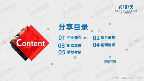 朗歐咨詢駐廠管理輔導(dǎo)實(shí)操案例 薪酬績(jī)效管理體系如何打造