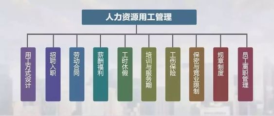 就在昨天,剛來(lái)的HR專員讓公司賠了70萬(wàn)!